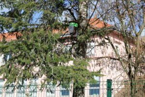 ACTION DE PRÉVENTION : PIÉGER LES FRELONS ASIATIQUES