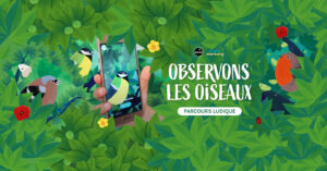 EXPOSITION « OBSERVONS LES OISEAUX »